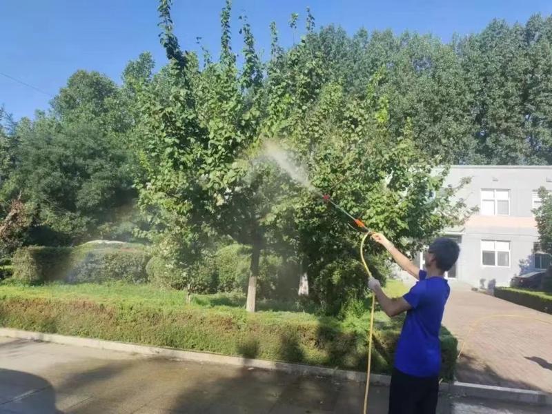 綠化養(yǎng)護(hù)10