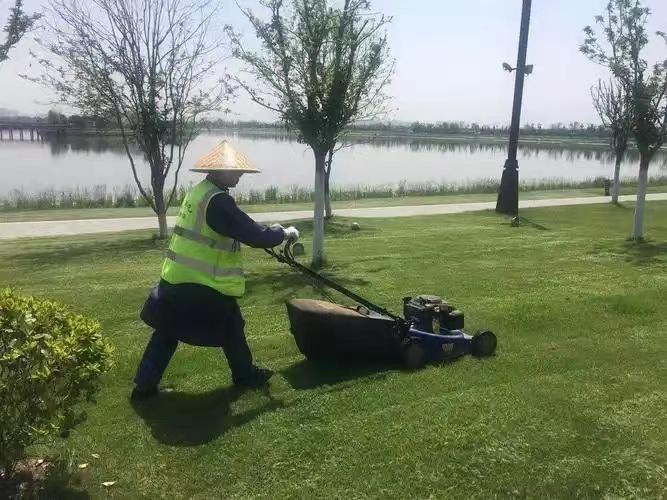 綠化養(yǎng)護(hù)3