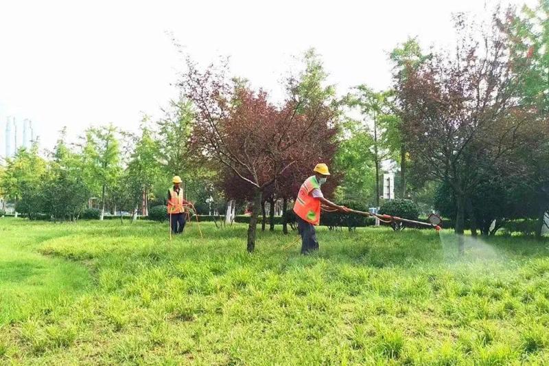 綠化養(yǎng)護(hù)5