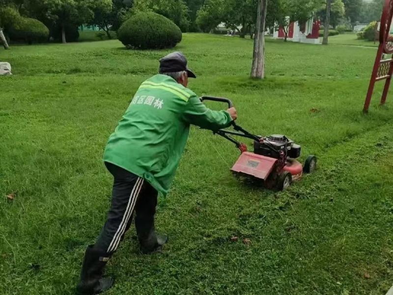 綠化養(yǎng)護(hù)7